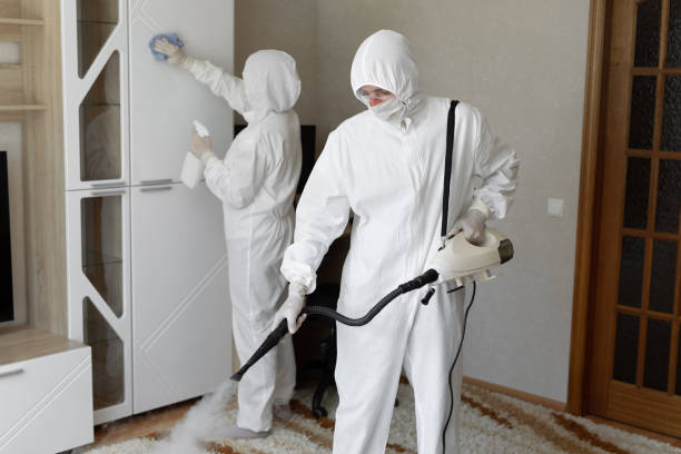 Affordable Sewage Cleanup solutions in Thompsons, TX